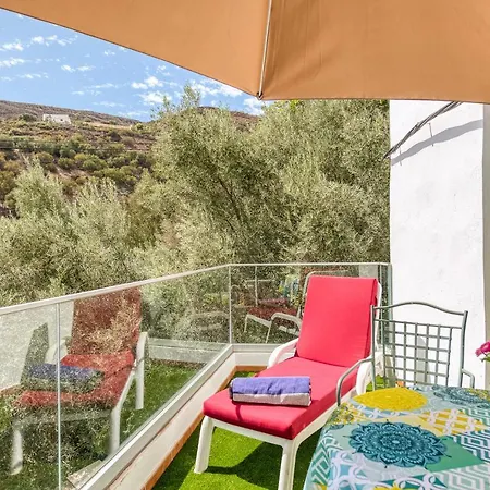 Villa Family Among Olive Trees *